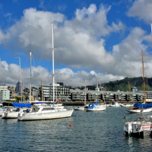 Legend of Wellington Harbour in Wellington, New Zealand - Encircle Photos