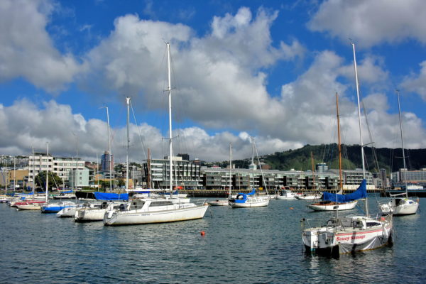 Legend of Wellington Harbour in Wellington, New Zealand - Encircle Photos