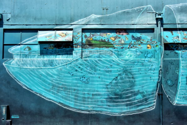 Lonely Whale Mural at Ahuriri in Napier, New Zealand - Encircle Photos