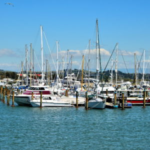 Napier Sailing Club at Ahuriri in Napier, New Zealand - Encircle Photos