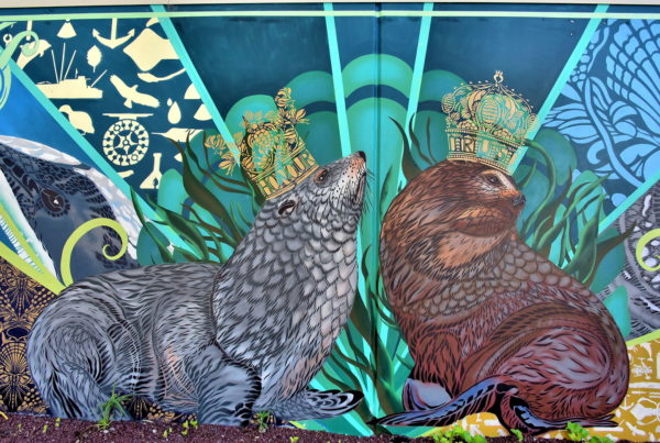 Endangered Marine Animals Mural by Flox in Napier, New Zealand - Encircle Photos