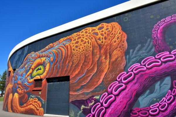 Marine Protected Areas Mural by Cinzah and Botkin in Napier, New Zealand - Encircle Photos