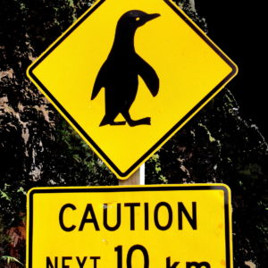 Penguin Crossing Sign near Punakaiki, New Zealand - Encircle Photos