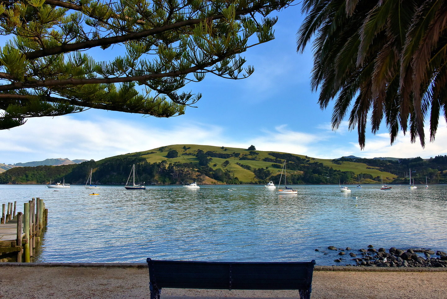 Bench Overlooking French Bay in Akaroa, New Zealand Encircle Photos