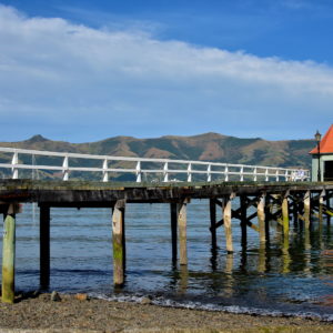 Daly’s Wharf in Akaroa, New Zealand - Encircle Photos