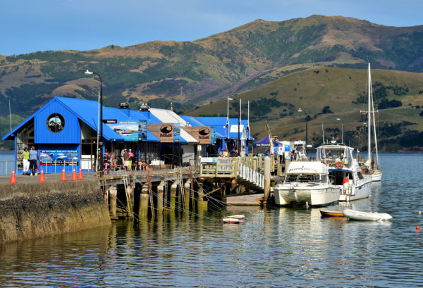 Main Wharf in Akaroa, New Zealand - Encircle Photos