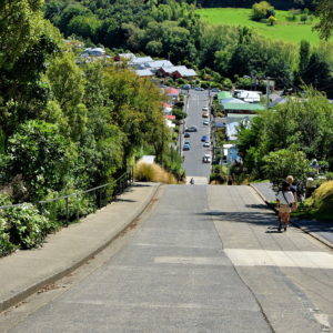 Baldwin Street in Dunedin, New Zealand - Encircle Photos