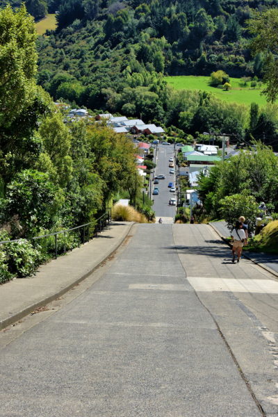 Baldwin Street in Dunedin, New Zealand - Encircle Photos