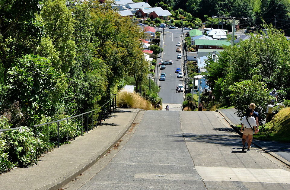 Baldwin Street in Dunedin, New Zealand Encircle Photos
