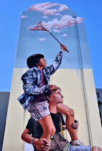 Chasing the Thin White Cloud by Fintan Magee in Dunedin, New Zealand - Encircle Photos