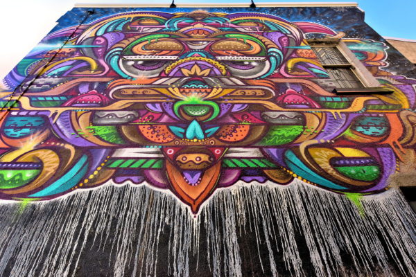 Flamboyant and Colorful Street Art by Phlegm in Dunedin, New Zealand - Encircle Photos
