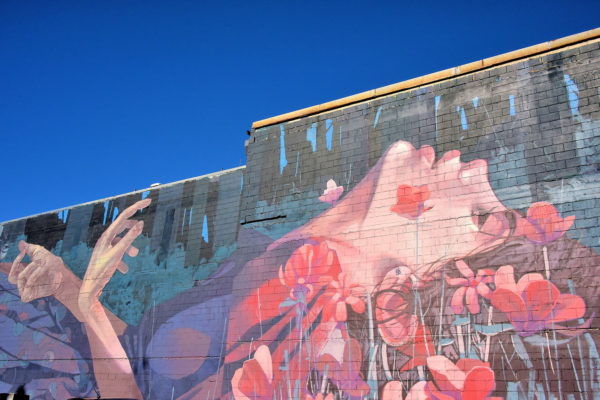 When the Hunter Becomes the Hunted by Bezt in Dunedin, New Zealand - Encircle Photos