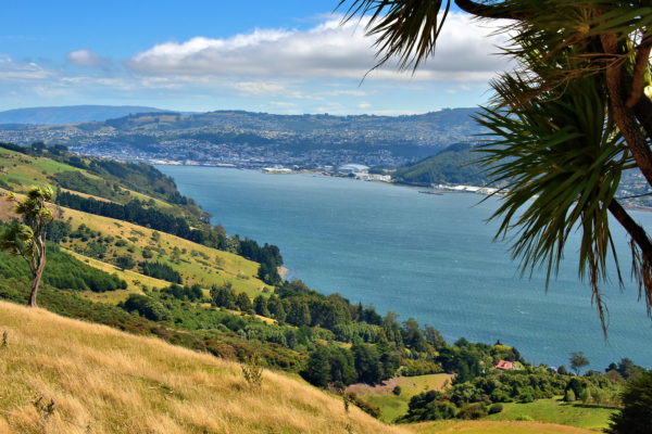 Otago Harbour from Highcliff Road in Dunedin, New Zealand - Encircle Photos
