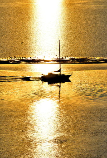 Sunrise on Otago Harbour at Port Chalmers in Dunedin, New Zealand - Encircle Photos