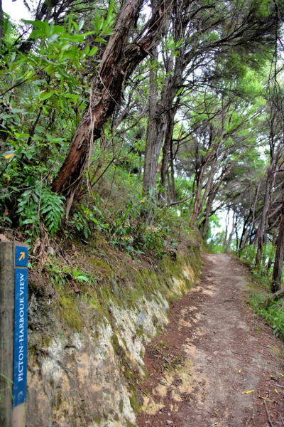 Victoria Domain Walking Trails in Picton, New Zealand - Encircle Photos