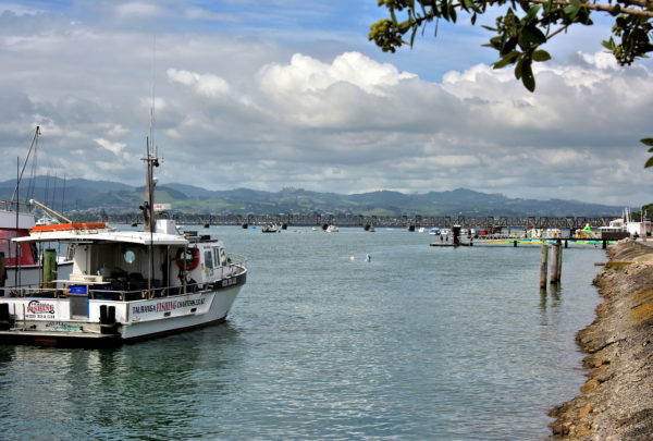 Fisherman’s Wharf in Tauranga, New Zealand - Encircle Photos