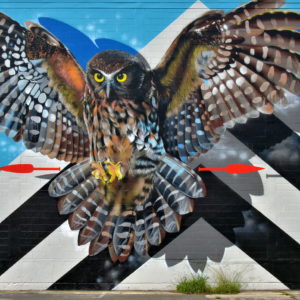 Messenger Mural by Williams in Tauranga, New Zealand - Encircle Photos