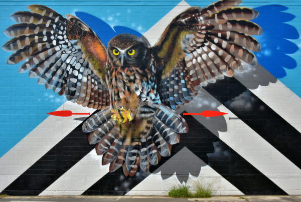 Messenger Mural by Williams in Tauranga, New Zealand - Encircle Photos