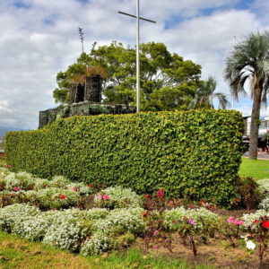 Floral Steamer at The Strand in Tauranga, New Zealand - Encircle Photos