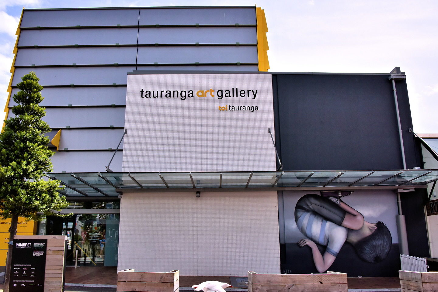 Tauranga Art Gallery in Tauranga, New Zealand Encircle Photos
