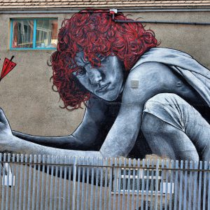 Son of Protagoras Mural by MTO in Belfast, Northern Ireland - Encircle Photos