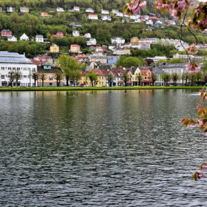 Lille Lungegårdsvannet in Bergen, Norway - Encircle Photos