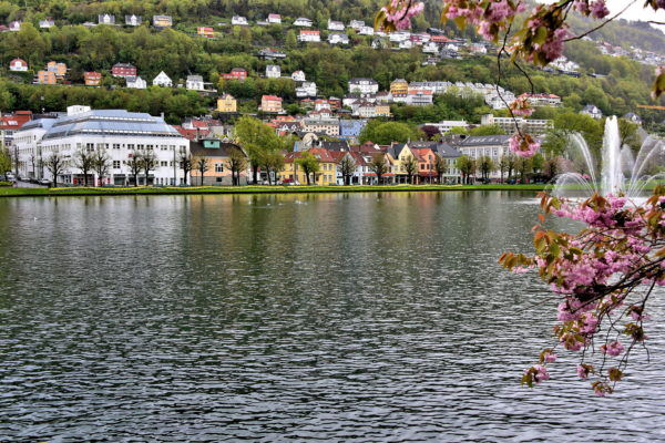 Lille Lungegårdsvannet in Bergen, Norway - Encircle Photos
