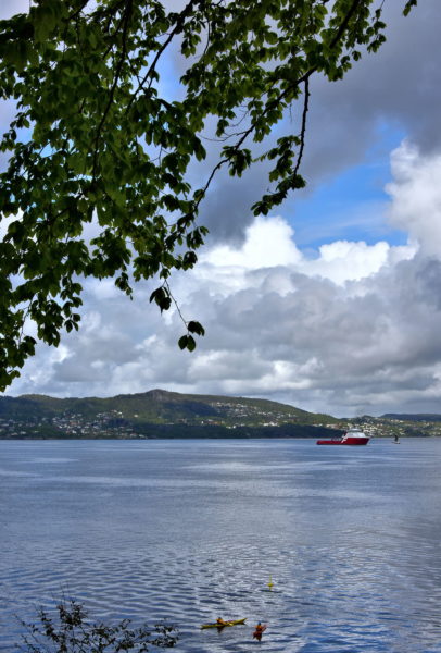 Scenic Overlook at Nordnes Park in Bergen, Norway - Encircle Photos