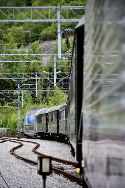 Sightseeing Train Ride aboard Flåmsbana in Flåm, Norway - Encircle Photos