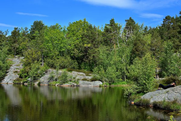 1st Stampe Lake at Baneheia Park in Kristiansand, Norway - Encircle Photos