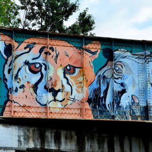 Lion and Hippo Railroad Bridge Mural near Toledo Zoological Gardens in Toledo, Ohio - Encircle Photos