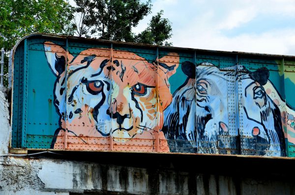 Lion and Hippo Railroad Bridge Mural near Toledo Zoological Gardens in Toledo, Ohio - Encircle Photos