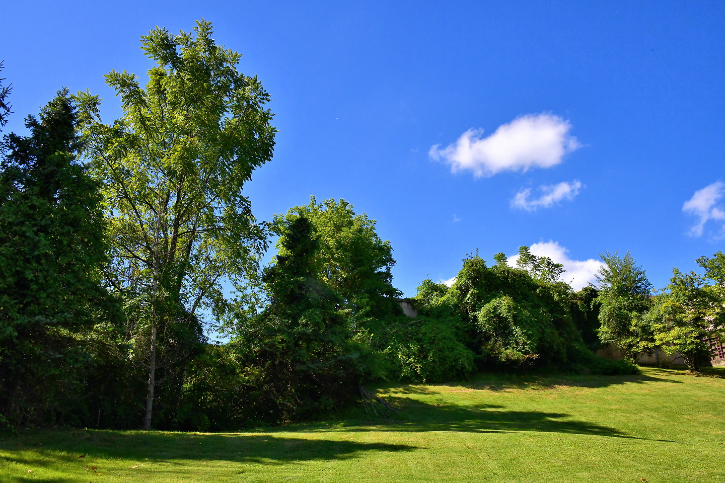 Chapter 21: Sniper’s Nest in Elkins Park, Pennsylvania - Encircle Photos