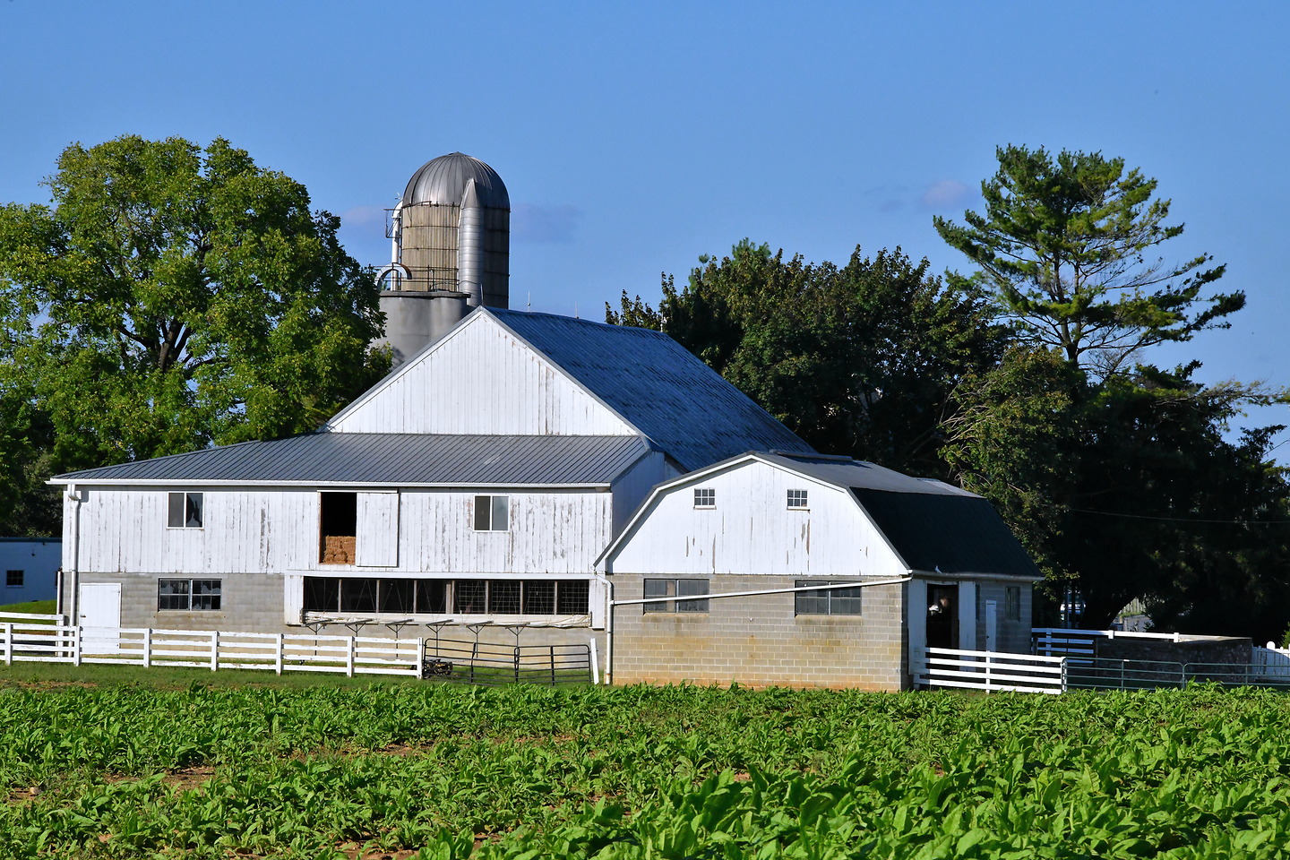 Chapter 18: Barn Backside at Amish Farm in Lancaster, Pennsylvania - Encircle Photos