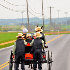 Amish Family on Horse and Buggy in Lancaster County, Pennsylvania - Encircle Photos