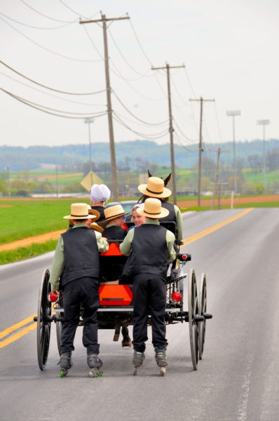 Amish Family on Horse and Buggy in Lancaster County, Pennsylvania - Encircle Photos