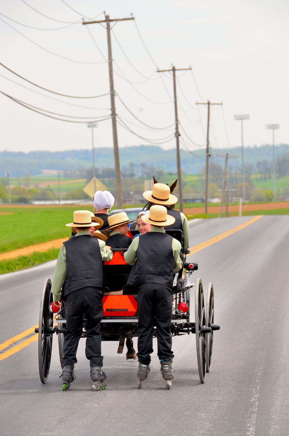 Amish Family on Horse and Buggy in Lancaster County, Pennsylvania