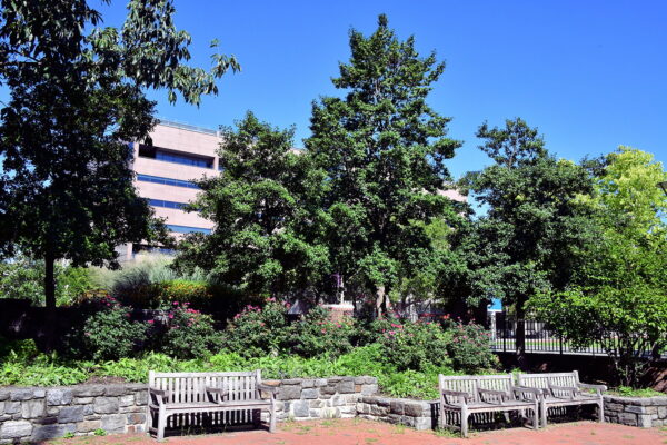 Chapter 26: Independence Mall Benches in Philadelphia, Pennsylvania - Encircle Photos