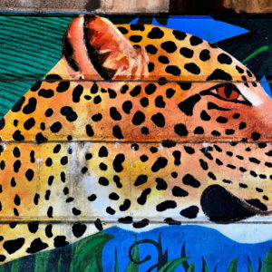 Amur Leopard Mural Near Philadelphia Zoo in Philadelphia, Pennsylvania - Encircle Photos