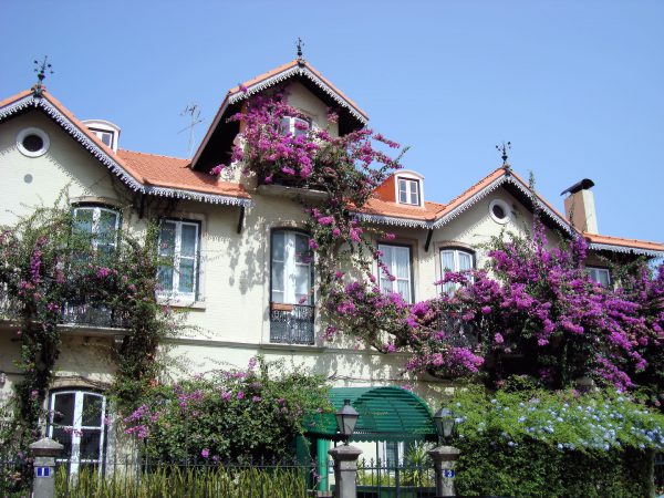 Home Covered with Purple Lilacs in Sintra, Portugal - Encircle Photos