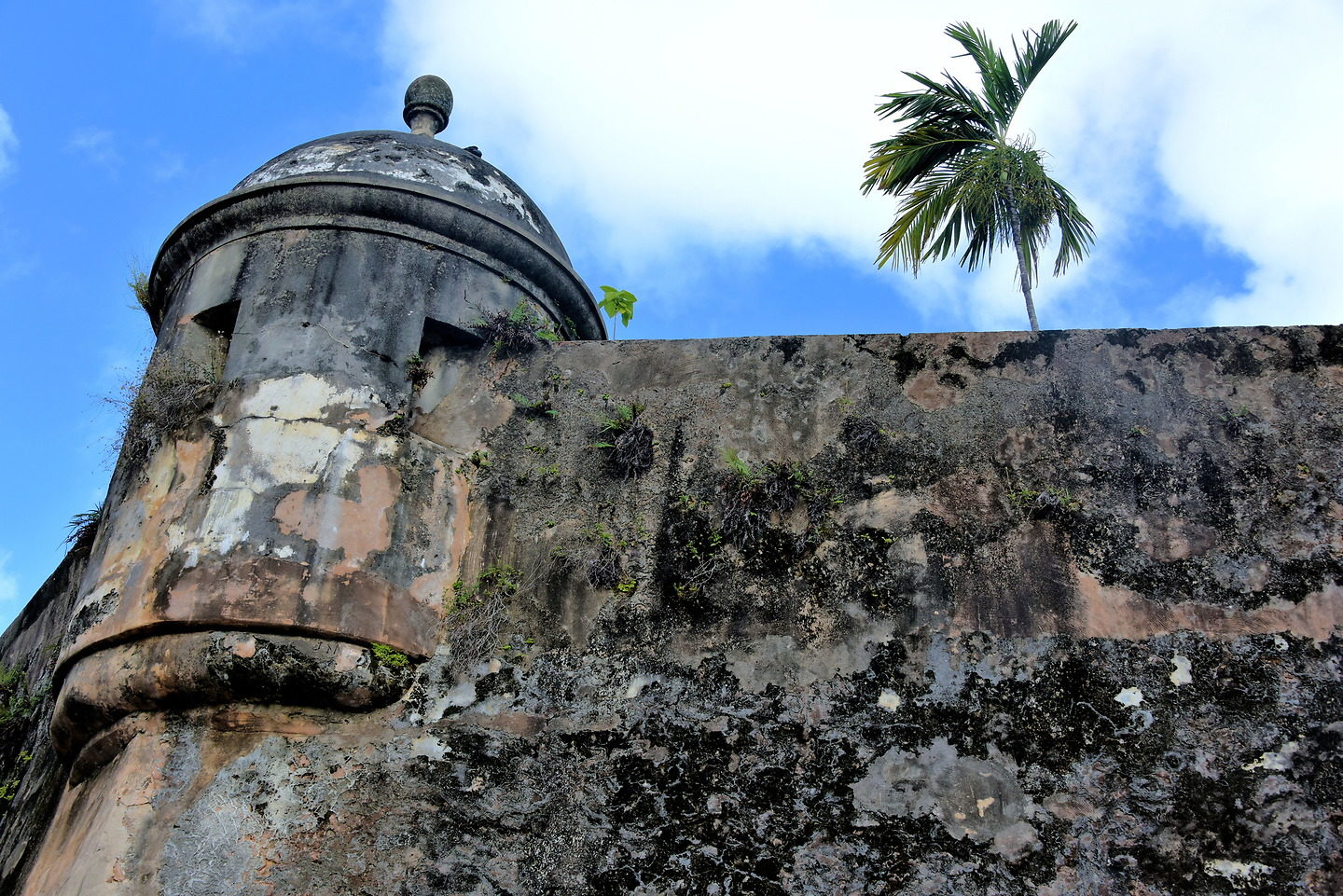 Paseo de la Princesa in San Juan, Puerto Rico Encircle Photos