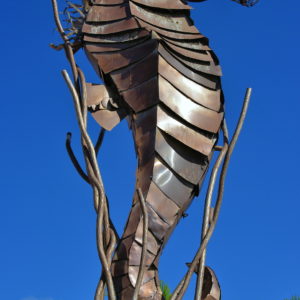 Seahorse Sculpture in San Juan, Puerto Rico - Encircle Photos