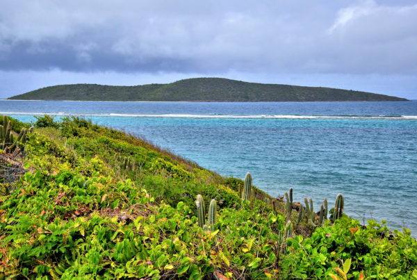 Buck Island from Yellowcliff Bay in East End, Saint Croix - Encircle Photos