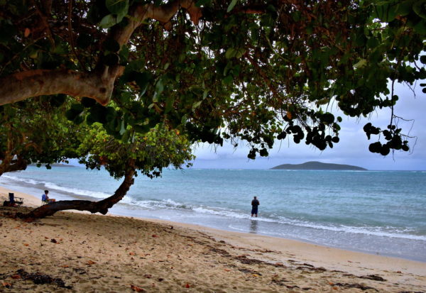 Cramer Park and Beach in East End, Saint Croix - Encircle Photos