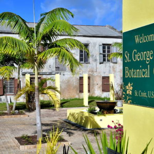 St. George Village Botanical Gardens in Frederiksted, Saint Croix - Encircle Photos