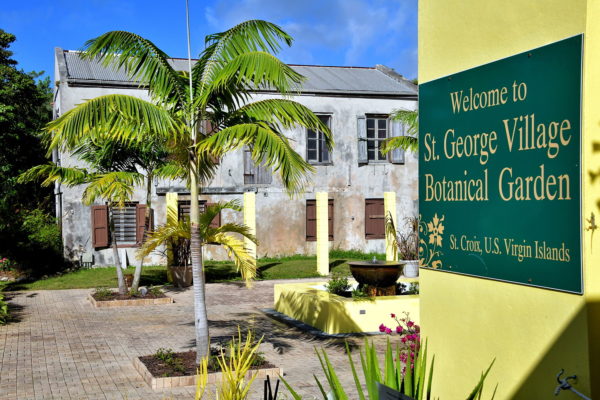 St. George Village Botanical Gardens in Frederiksted, Saint Croix - Encircle Photos