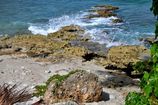 Scuba Diving at Cane Bay in North Shore, Saint Croix - Encircle Photos