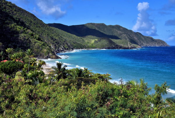 Davis Beach in North Shore, Saint Croix - Encircle Photos