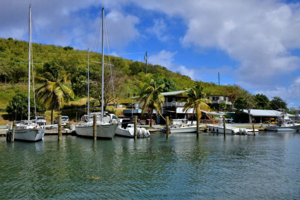 Salt River Bay Park in North Shore, Saint Croix - Encircle Photos
