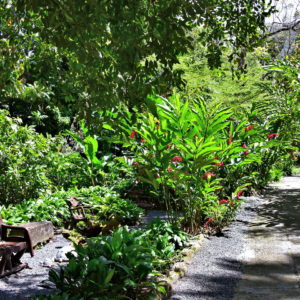 Diamond Botanical Gardens near Soufrière, Saint Lucia - Encircle Photos